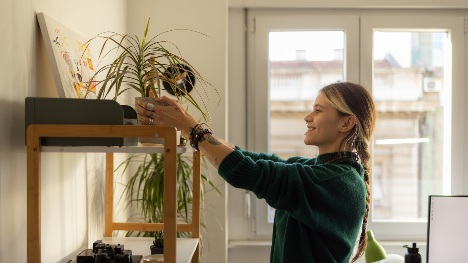 The Unseen Water That Helps Spider Plant Grow Well