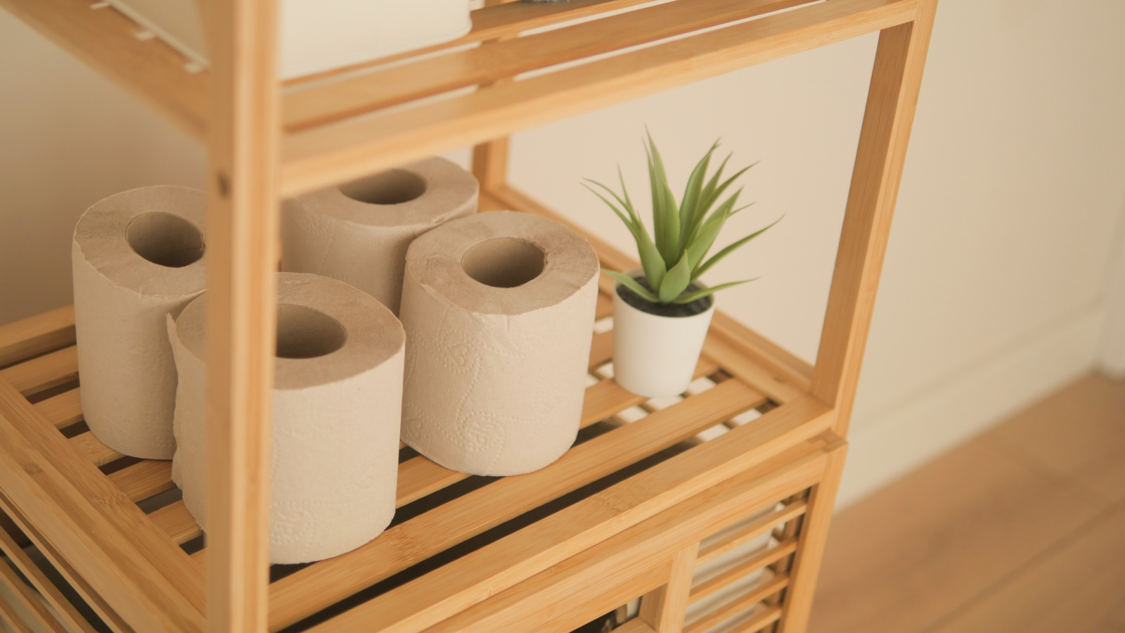 Inexpensive Household Item With a Secret Storage Use