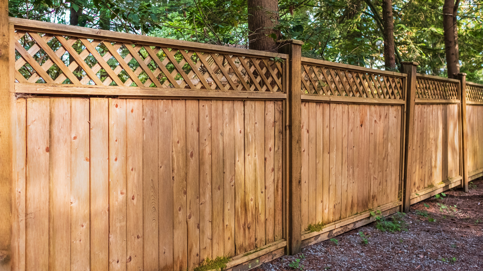 11-fence-enhancements-that-will-wow-the-neighborhood