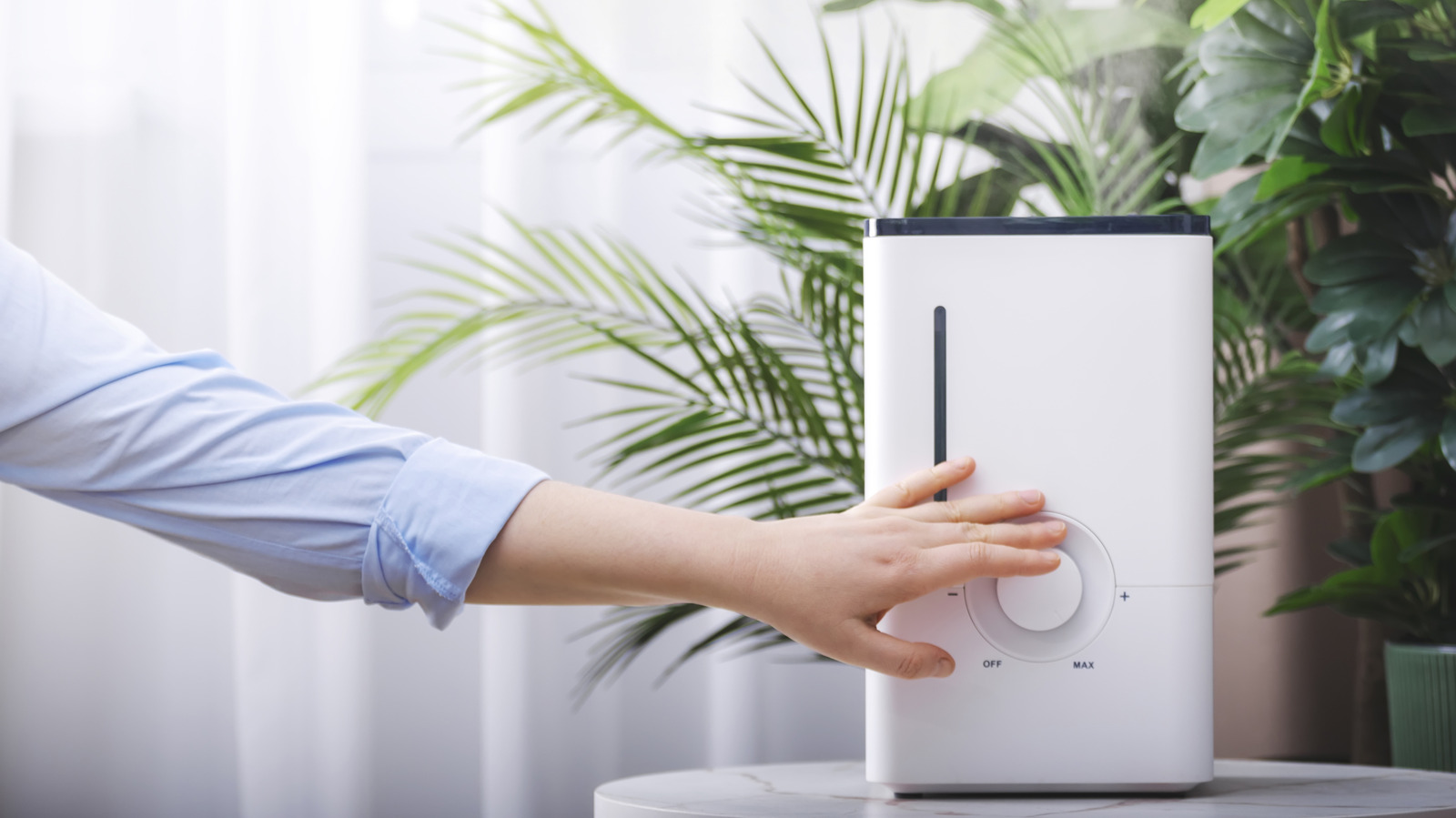 Humidifier Helps Beat Mold This Winter