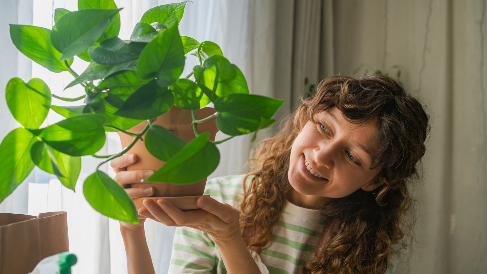 this-leftover-kitchen-scrap-is-the-secret-to-a-thriving-pothos-plant