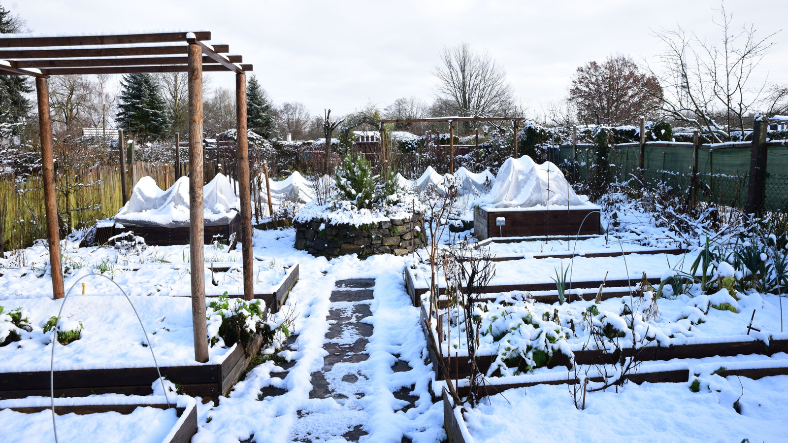 lake-effect-snow:-what-to-know-about-its-impact-on-your-yard-and-garden