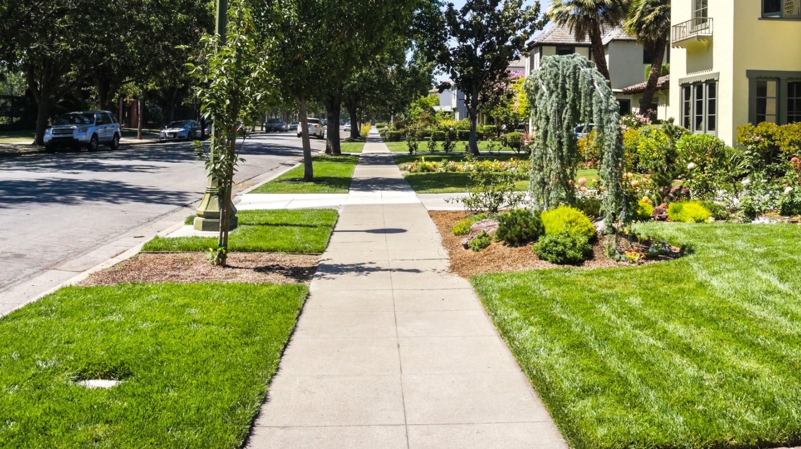 How Much Control Do You Really Have Over Your Sidewalk?