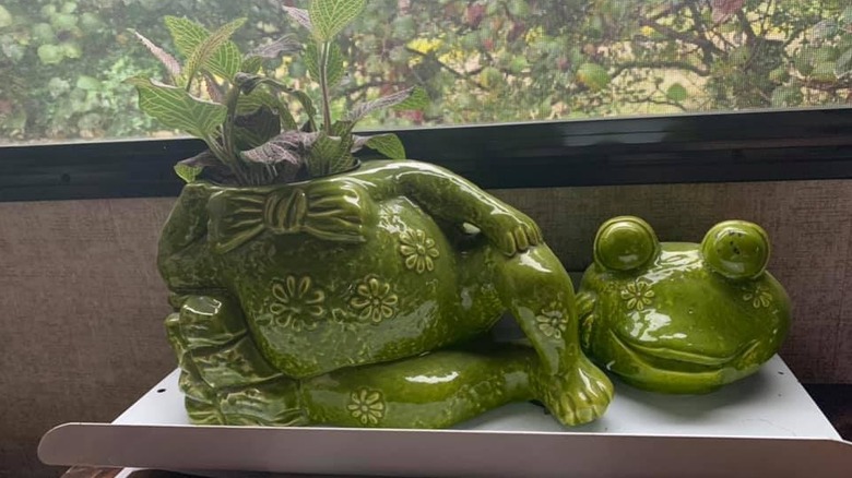 Frog cookie jar used as a planter