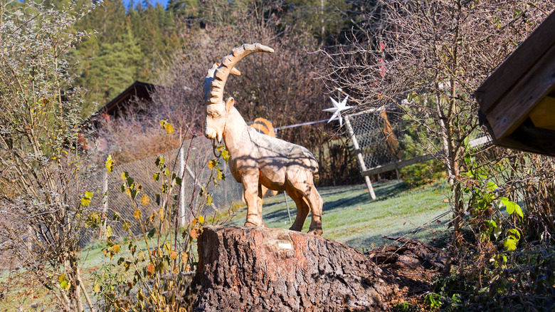 Goat carving on a tree stump in a yard with plants wilting in the fall