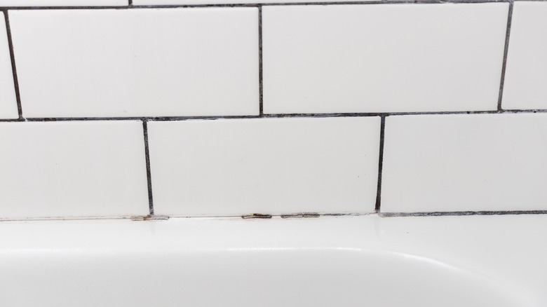Moldy tile grout in shower