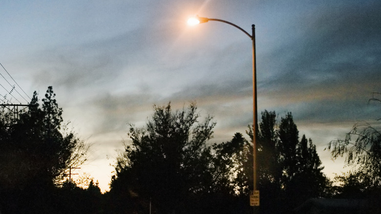 Street light shines in a residential neighborhood