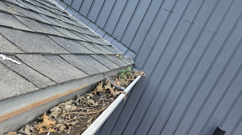 dirty gutters that need cleaning