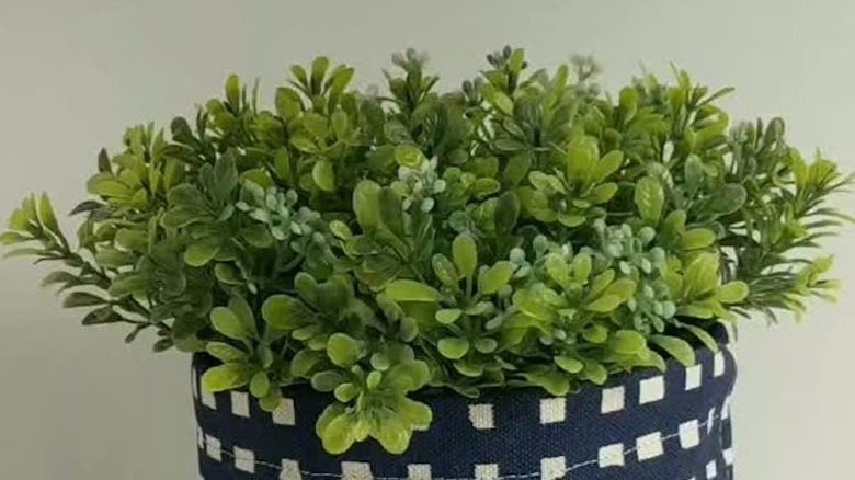 Close up of canvas bag planter