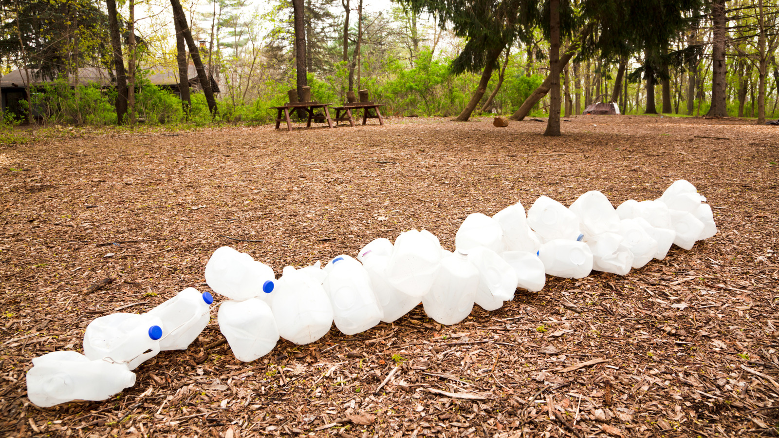 8-ways-to-turn-a-leftover-scrap-jug-into-a-bird-feeder