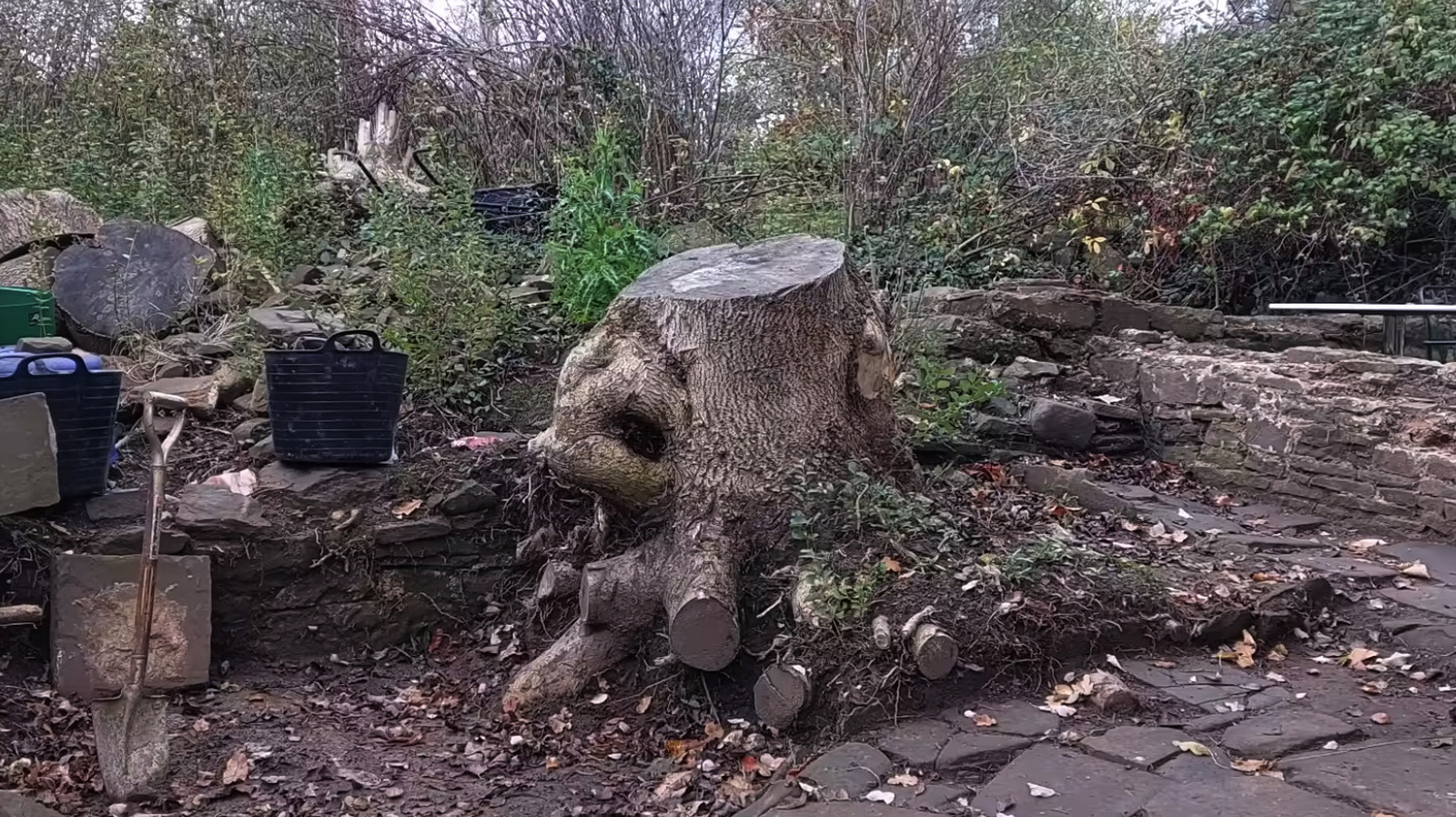 homeowner-turns-an-old-tree-stump-into-a-functional-work-of-art-for-birds:-‘beautiful-result’