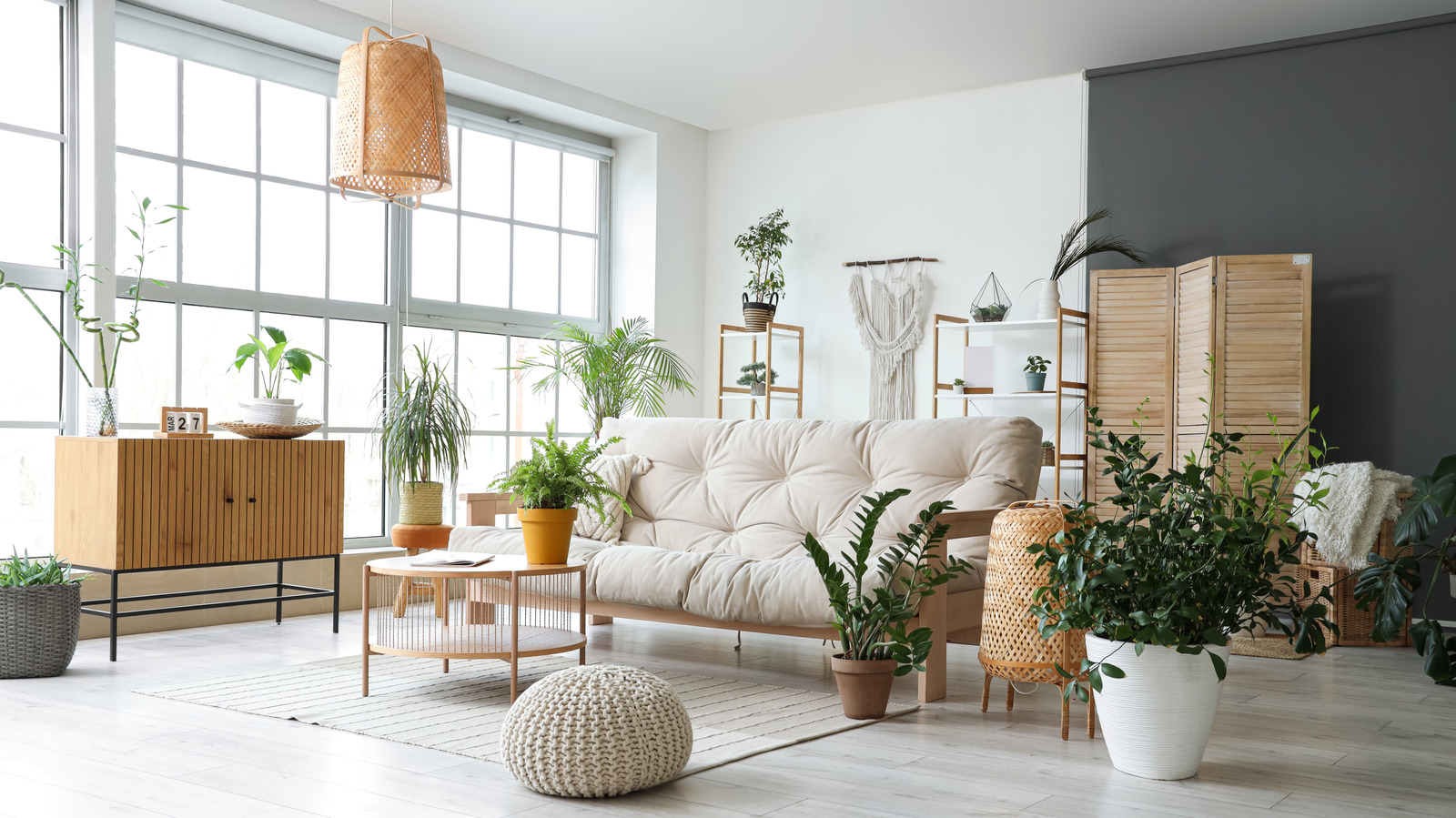the-glossy-heart-shaped-houseplant-that-even-complete-beginners-can-grow
