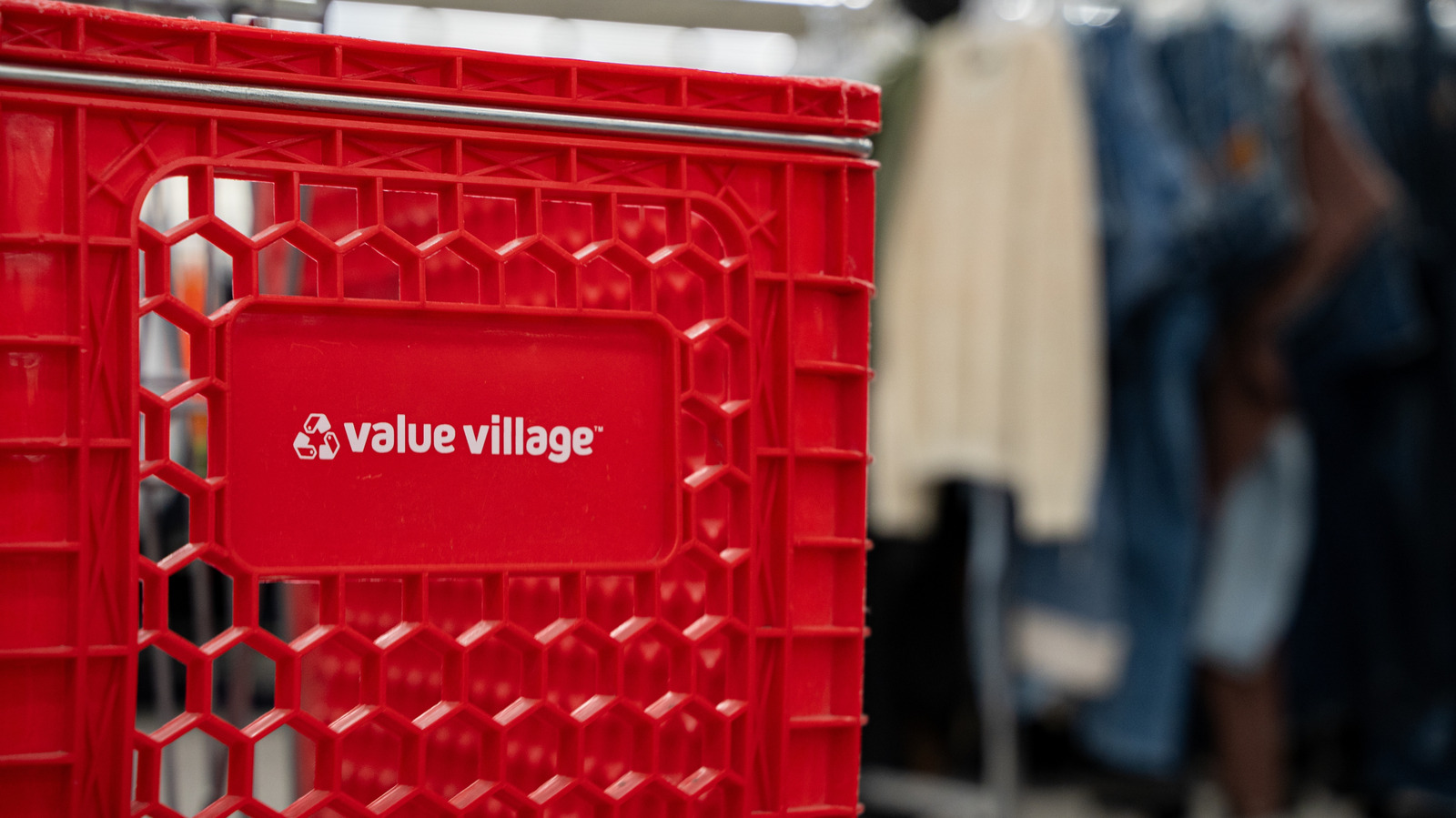 the-rare-&-valuable-item-book-lovers-should-always-look-for-at-the-thrift-store