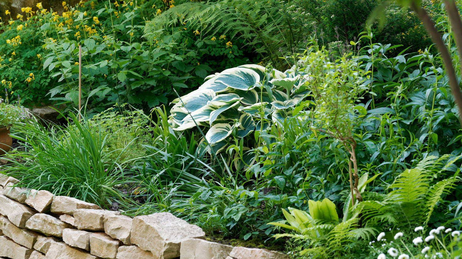 the-retaining-wall-trend-you-won’t-see-in-2026-(and-that’s-the-point)
