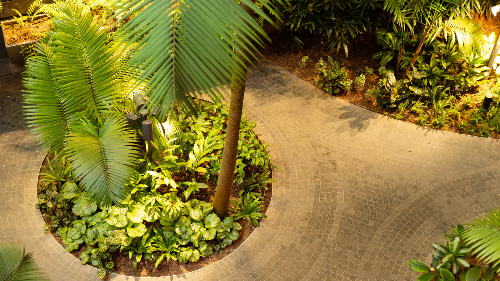 how-biophilic-lighting-can-change-your-garden-into-a-wonderland