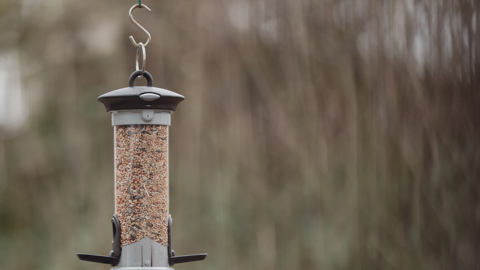 8-cleaning-products-to-avoid-using-in-your-bird-feeders