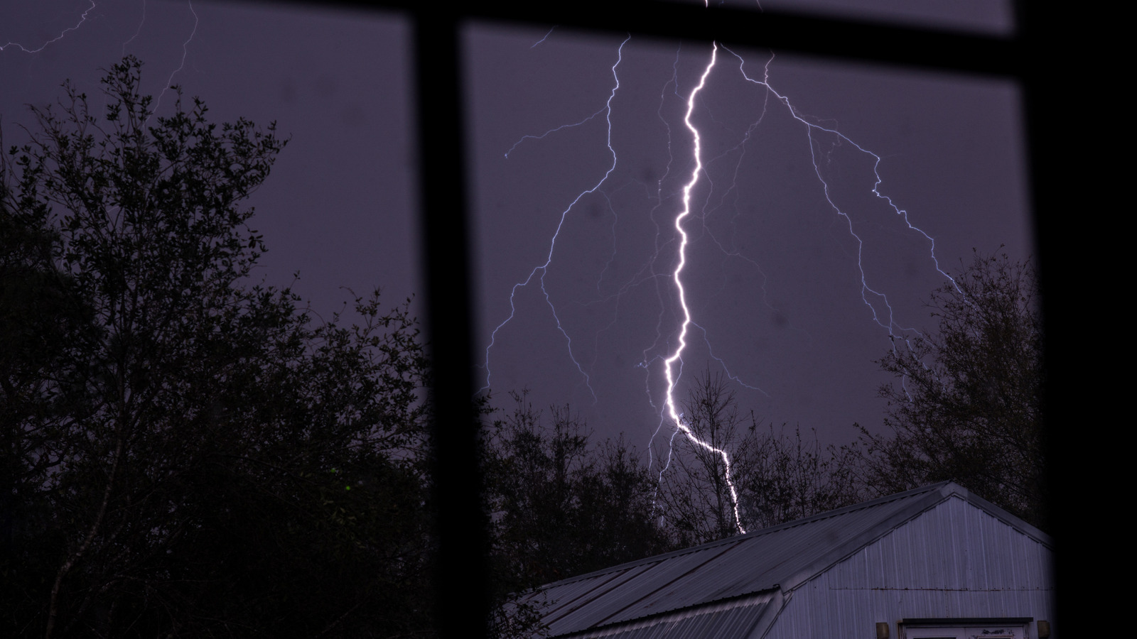 the-walmart-flashlight-buyers-are-choosing-for-weather-emergencies