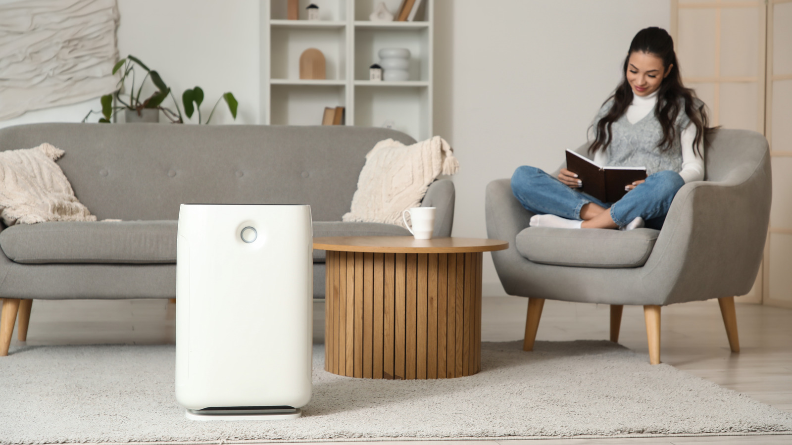 air-purifiers-alone-won’t-rid-your-home-of-dust.-add-these-chores-to-your-cleaning-routine
