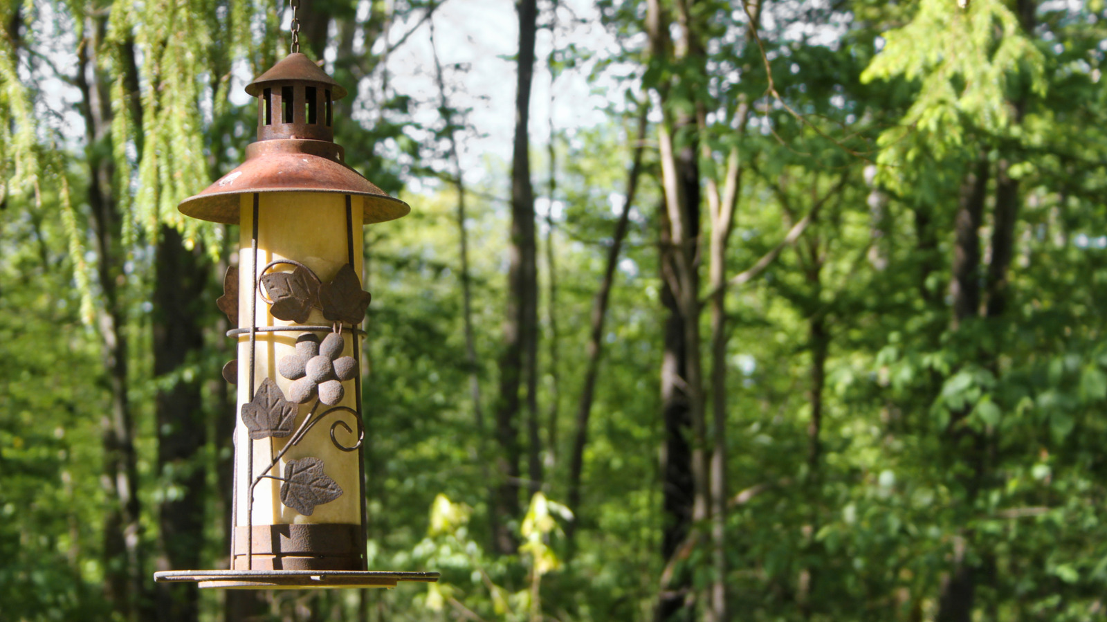 how-to-revive-a-rusted-old-thrift-store-bird-feeder-to-look-like-new-again