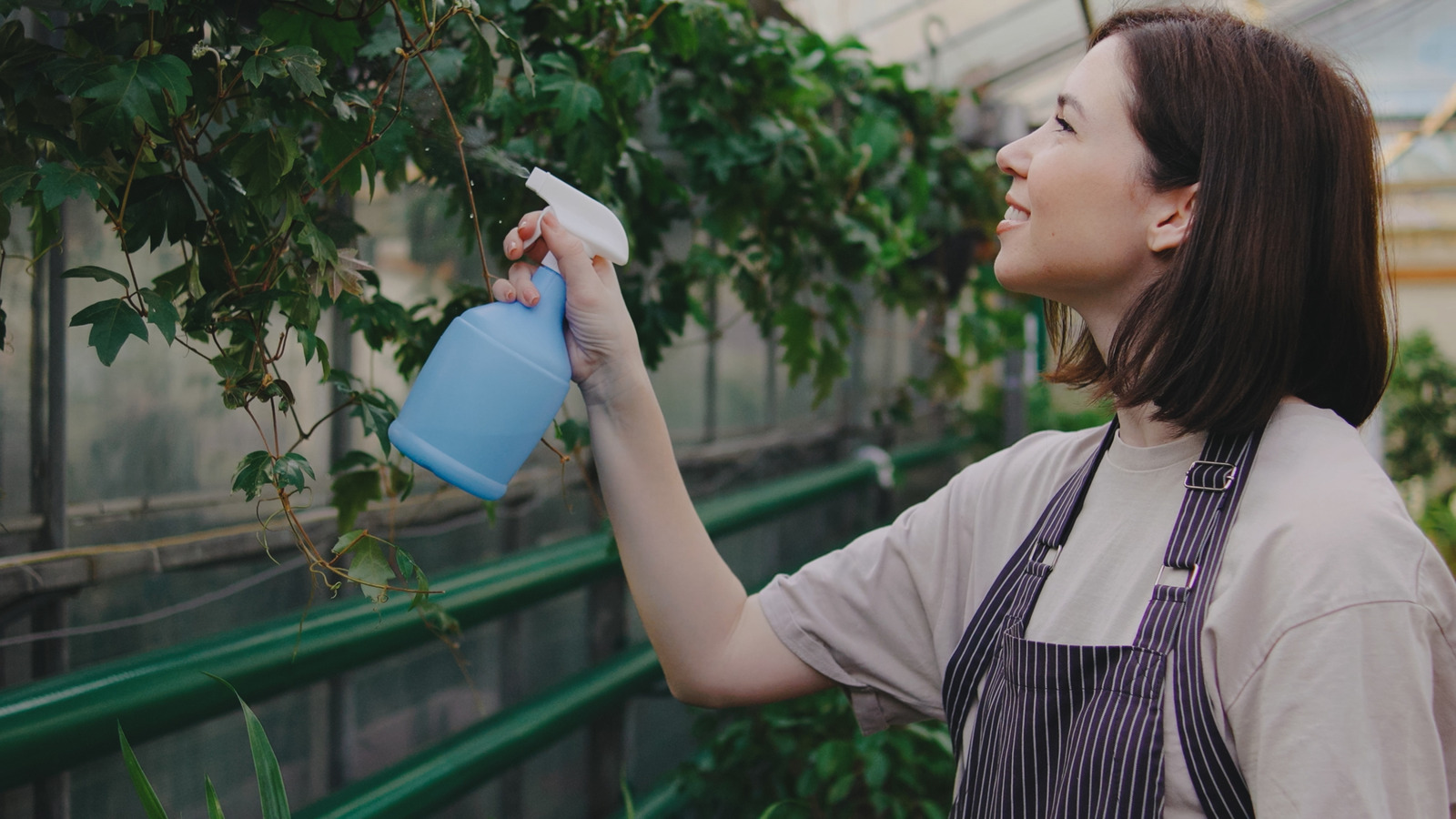 is-dish-soap-the-secret-fix-to-affordable-pest-control?-here’s-the-truth