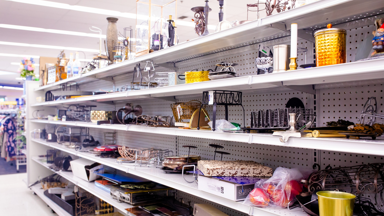 A Surprising Thrift Shop Find That May Be More Valuable Than You Think