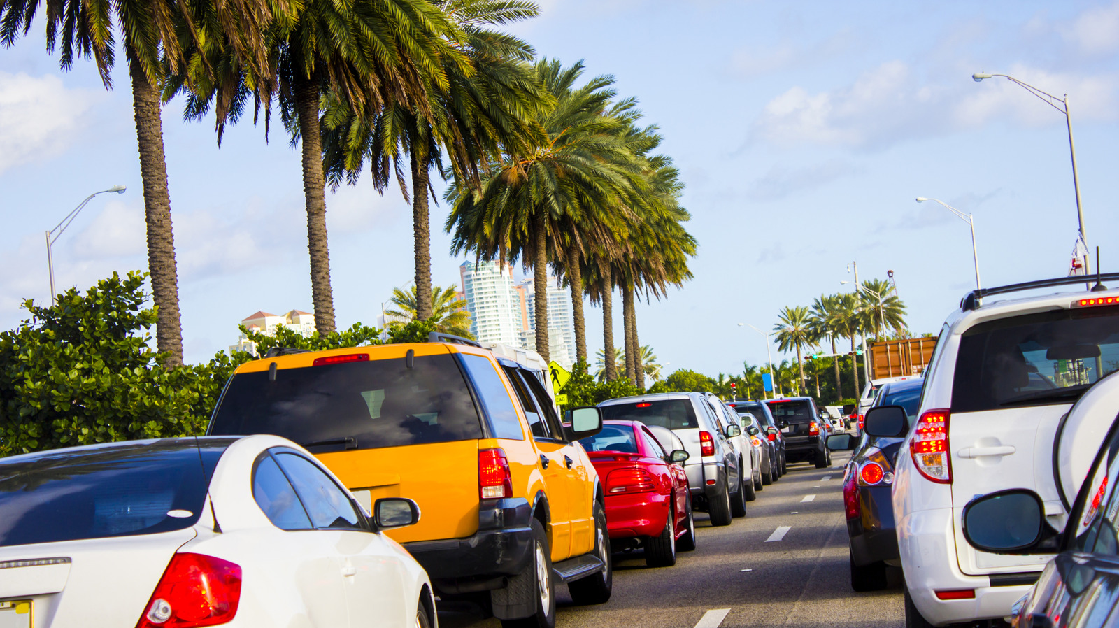Florida’s Best-Selling Rides Also Tend to Last Longest