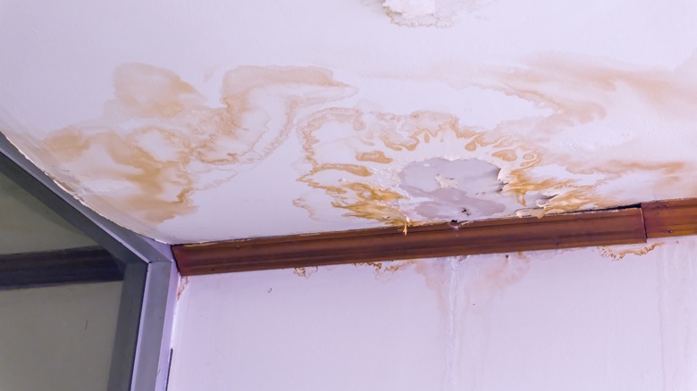 Brown stains showcasing water damage on a white ceiling