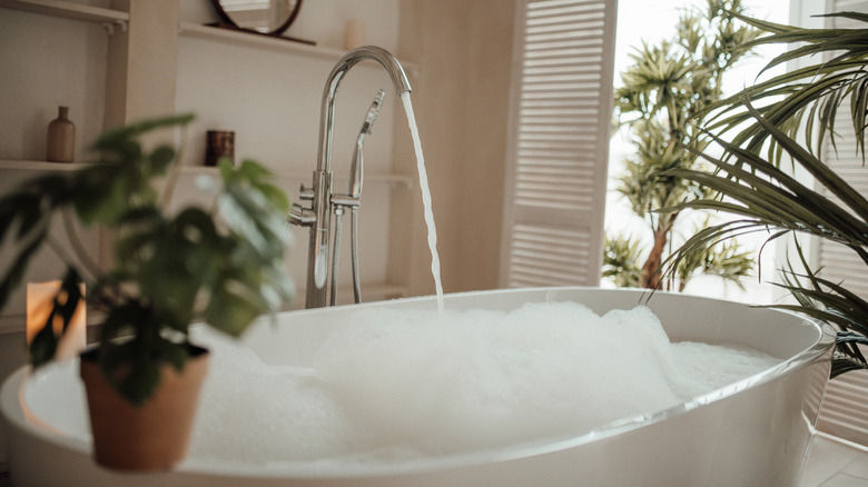 Water flowing into a bubble bath in a serene bathroom with houseplants