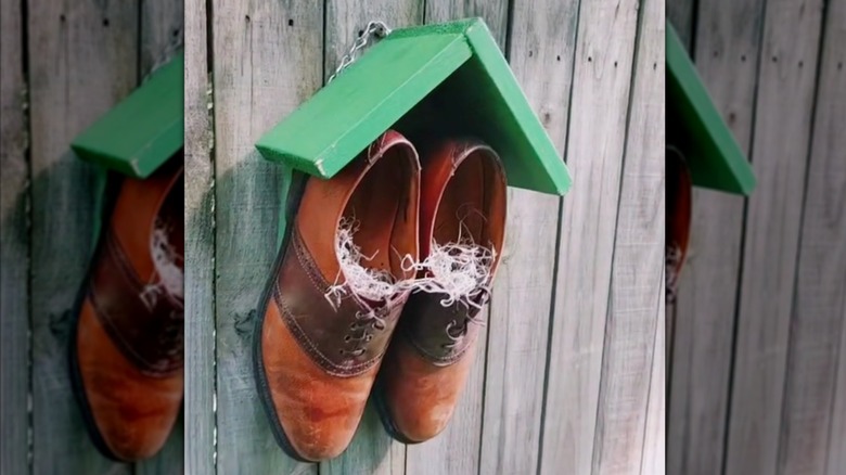 small bird nest with fancy leather shoes