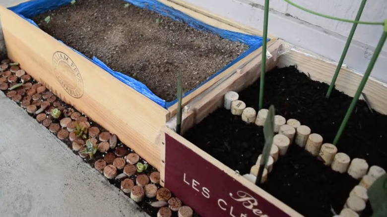 wine cork border garden beds