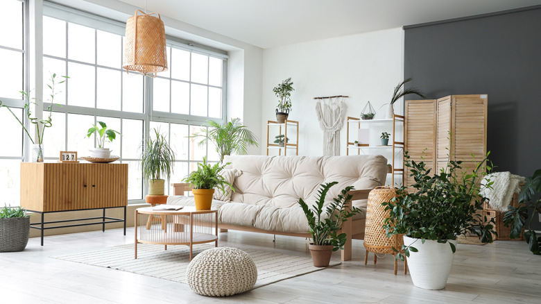 Living room decorated with a variety of plants