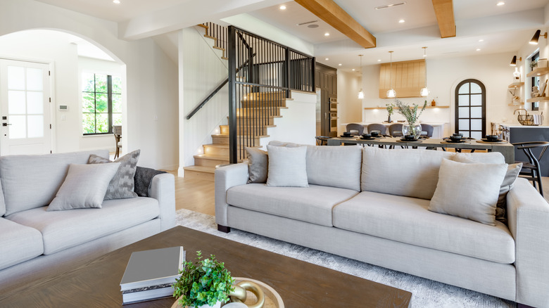 gray suburban living room with classic microfiber sofas