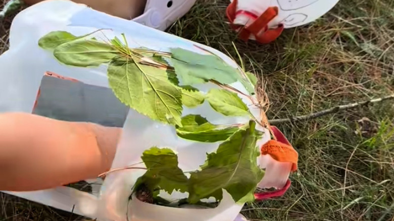 Child's hand reaching into a milk jug bird feeder with leaves glued on it