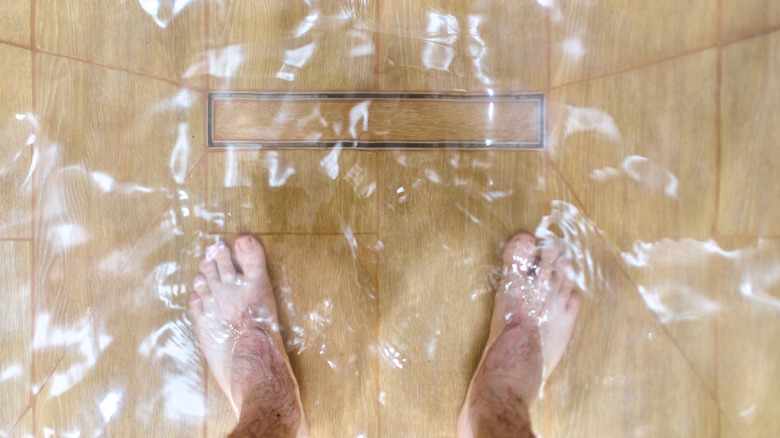 Overhead view of standing water on shower floor due to clogged drain.