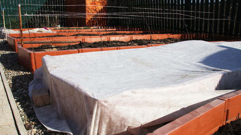 Frost protection planket over a whole raised bed