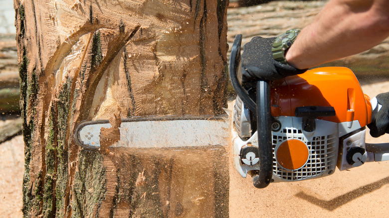A worker using a chainsaw to carve into a tree stump