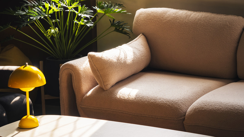 sofa with more texture like soft boucle next to plant and coffee table