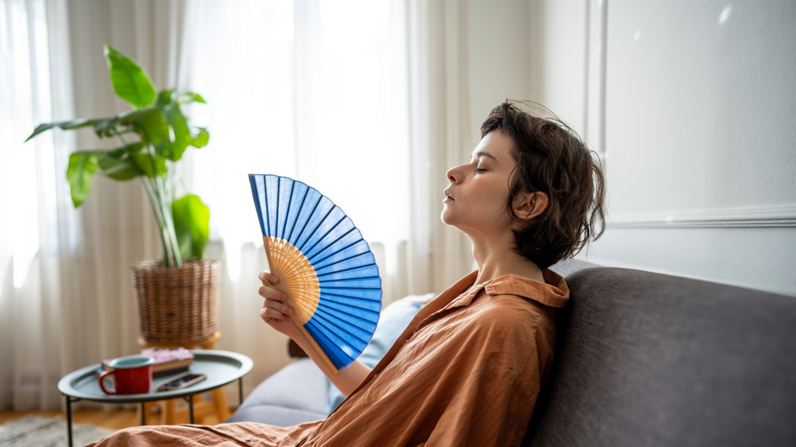 why-over-a-third-of-homes-in-washington-don’t-have-ac