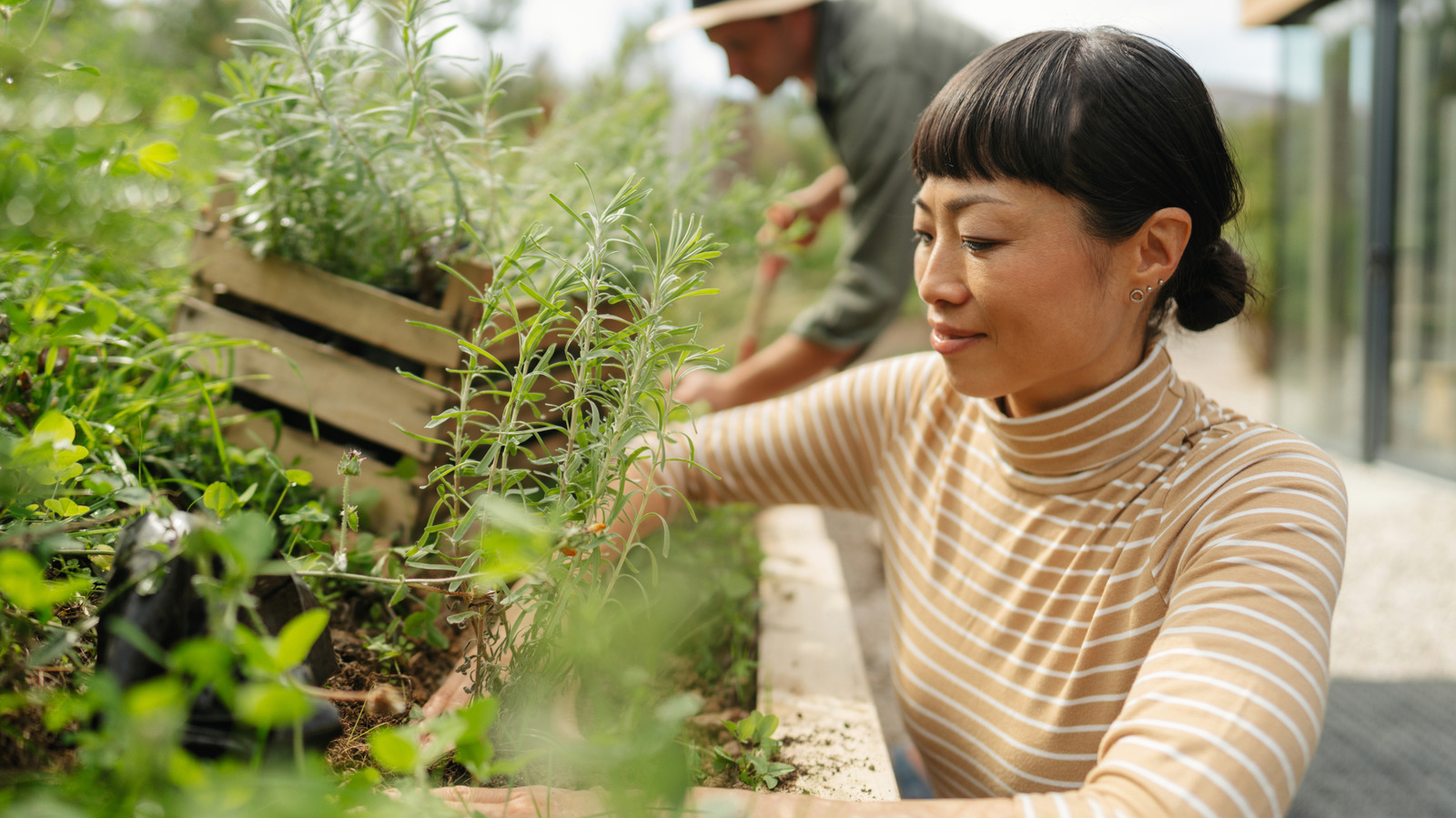 do-you-need-to-worry-about-cyclosporiasis-with-homegrown-produce?