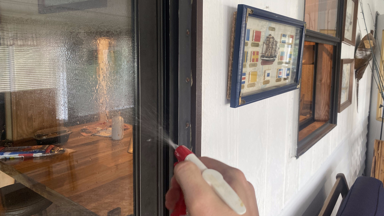 Apply This Liquid To Your Glass Doors And Stop Bugs From Getting Inside