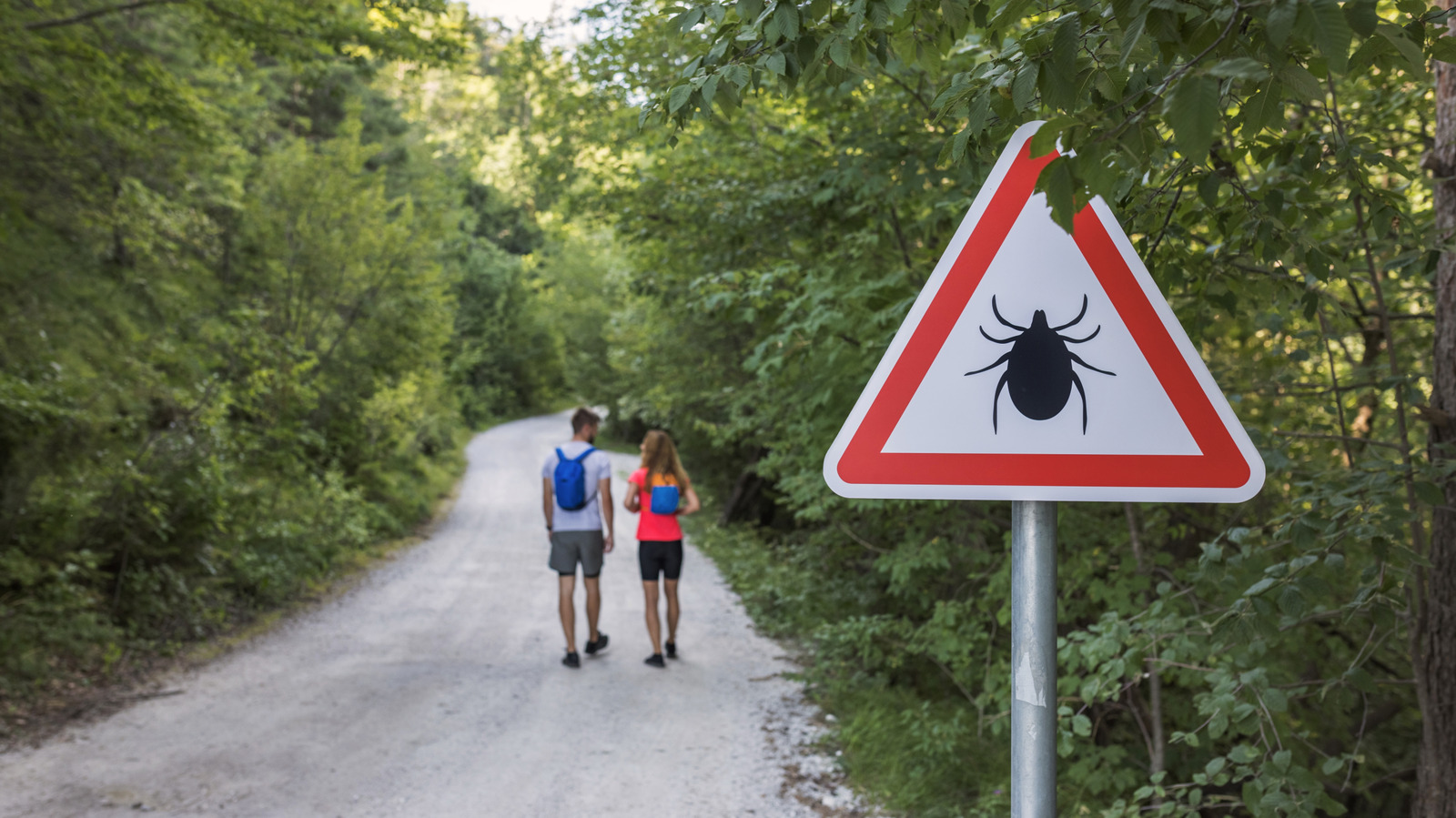 Keep Ticks Away With A Strong Chemical Solution