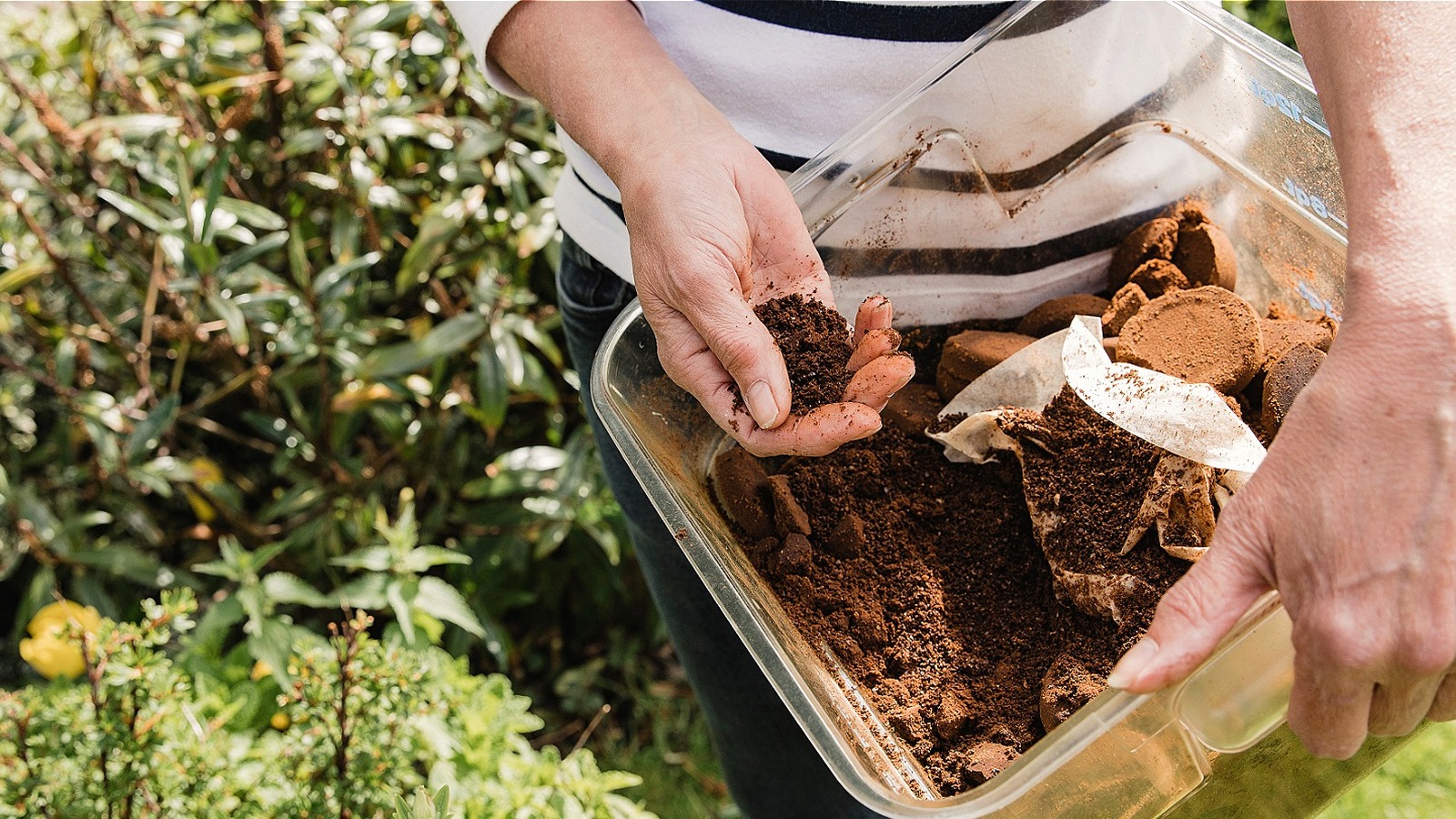 Skip Coffee Grounds and Use This Kitchen Waste for Homemade Plant Food Instead