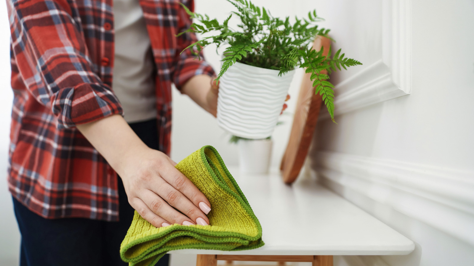 Stop The Drips: Put This Common Item Under Your House Plants