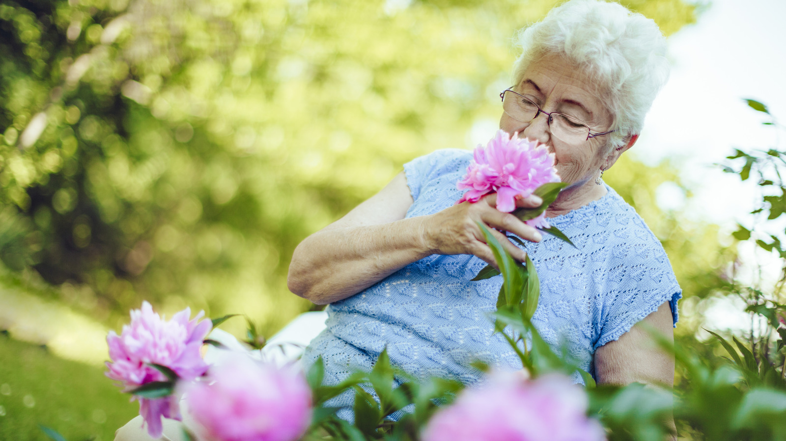 grow-the-best,-blooming-peonies-with-an-organic-fertilizer