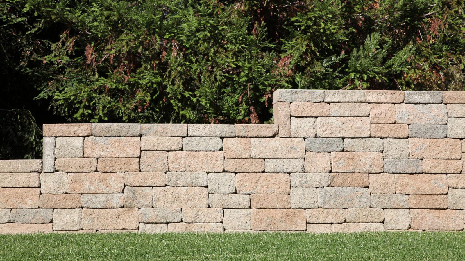 Spotting Cracks in Your Retaining Wall? Here’s What to Do Next