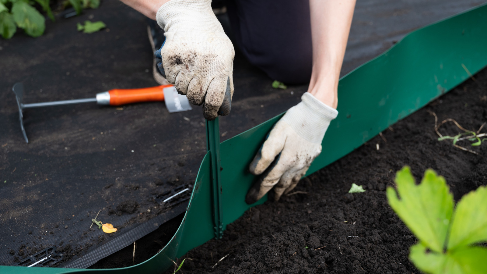 Natural Garden Edging: The Eco-Friendly Choice That Brings Island Vibes Home