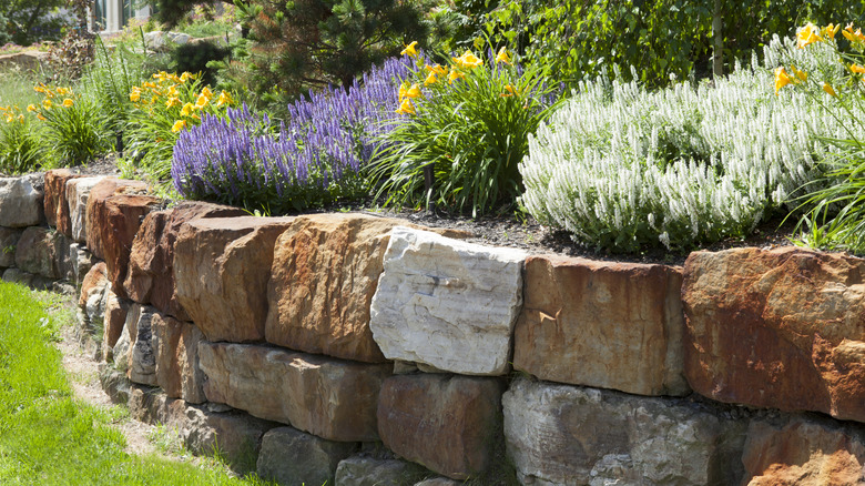a raised garden bed with a natural stone retaining wall