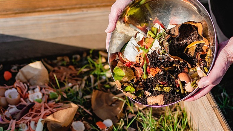 Hands dumping a bowl of food scraps into a wooden compost pile