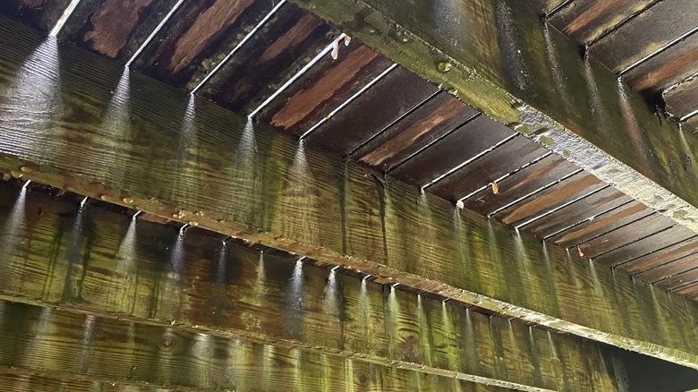 The dirty underside of a deck with dripping water droplets