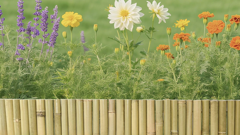 Jollybower bamboo edging in front of wildflowers